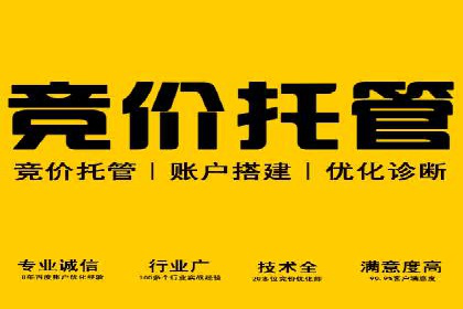 百度竞价账户管理工具推荐：实战案例与使用技巧
